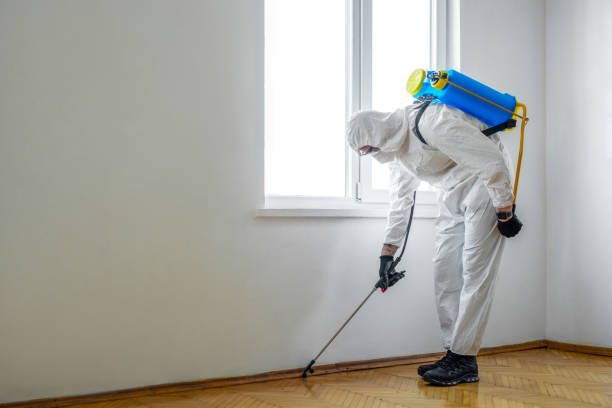 Best Pest Prevention Services  in Innsbrook, VA